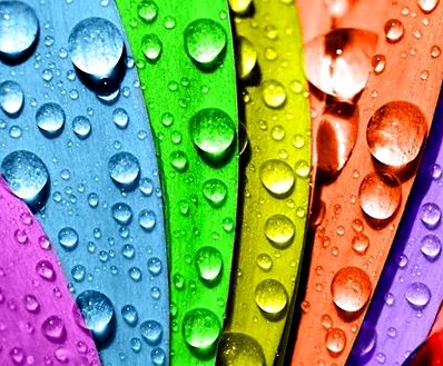 Резиновая краска: применение, характеристики, преимущества и особенности использования резиновой краски для внутренних работ